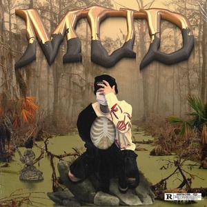 蒙古姑娘高清MV
